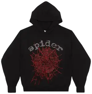 Spider hoodie